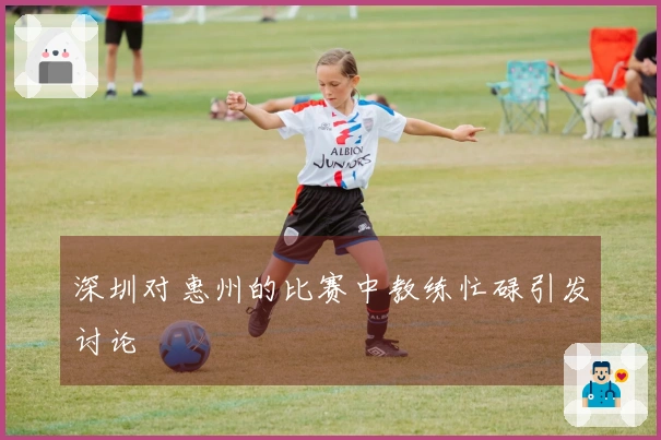 深圳对惠州的比赛中教练忙碌引发讨论