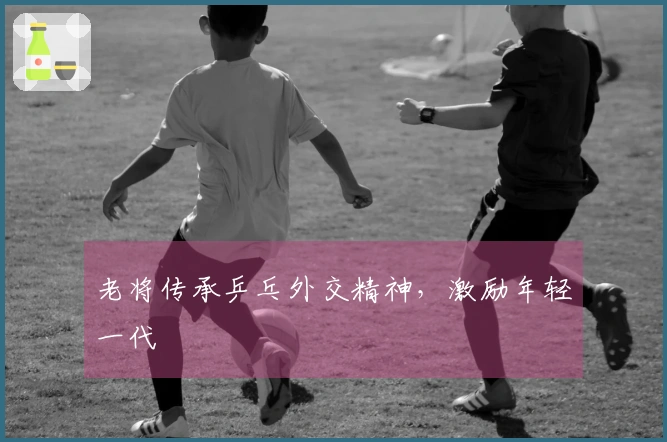 老将传承乒乓外交精神，激励年轻一代